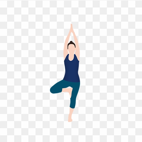 tree pose yoga vector png free
